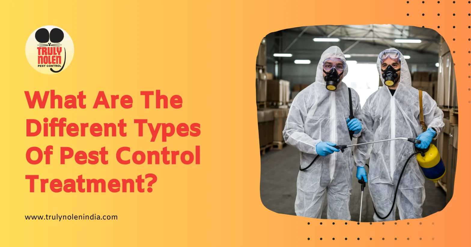 What Are The Different Types Of Pest Control Treatment?